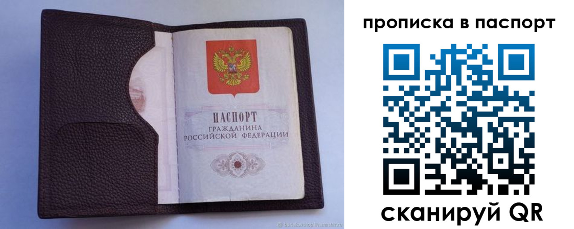 прописка законно в Асино